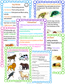 Eating Habits - Animal Life Science Unit 1 with Worksheets by The Innovator