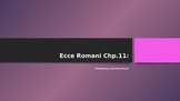 Ecce Romani 11 Vocabulary and Derivatives