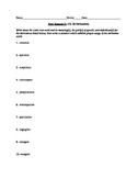 Ecce Romani II Chs. 28 & 29 Derivative Worksheets