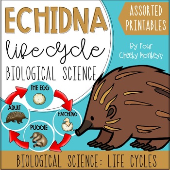 Preview of Echidna Life Cycle | Biological Science Activities and Printables