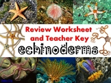 Echinoderm Review Worksheet for Biology or Zoology