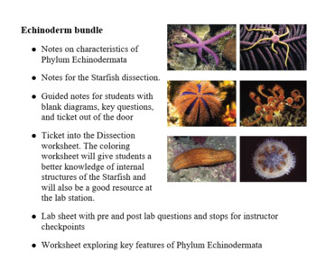 names of echinodermata