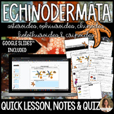 Echinoderms Lesson Guided Notes and Assessment - Marine Science
