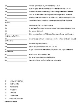 Echinoderms Quiz or Worksheet for Invertebrate Biology | TpT