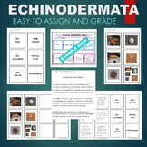 Echinoderms (Sea Star, Urchin, Cucumber) Sort & Match STAT