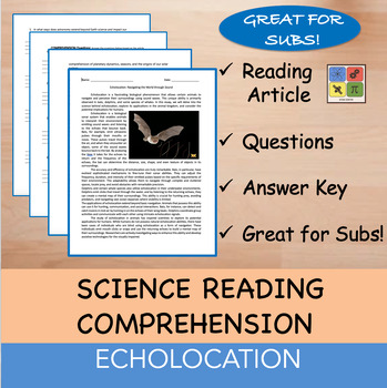 Preview of Echolocation - Reading Passage and x 10 Questions (EDITABLE)
