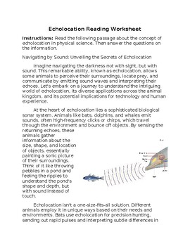 Preview of Echolocation Reading Worksheet **Editable**