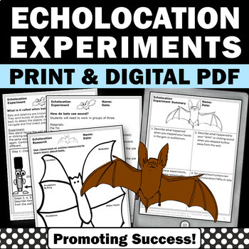 Echolocation Bat Experiment