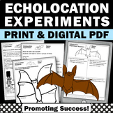 Echolocation Halloween Science Experiments Bat Research Wr