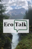 Eco - Chat