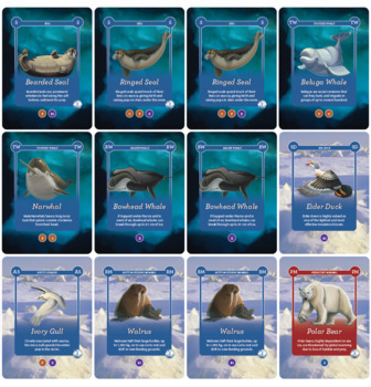 Preview of EcoChains Arctic Life: Food Web Building Game