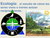 Ecología/Ecology Vocabulary (Spanish)