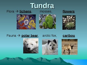 Ecological Biomes Teacher Notes by Fun and Differentiated Science