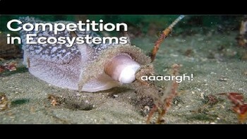 Preview of Ecological Competition- Competition in an Ecosystem