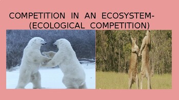 competition in ecosystem