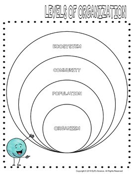 Ecological Levels of Organization Graphic Organizer Template - Print ...