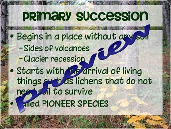 Ecological Primary Secondary Succession Lesson Worksheet by Creath