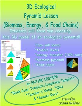 Preview of Ecological Pyramid Model Lesson Biomass, Energy and Food Chains