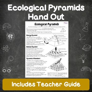 Preview of Ecological Pyramids