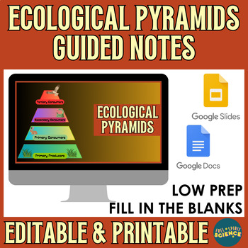Preview of Ecological Pyramids Guided Notes - Energy Pyramids - Powerpoint / Google Slide