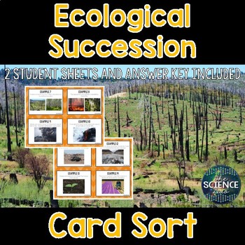 Preview of Ecological Succession Card Sort