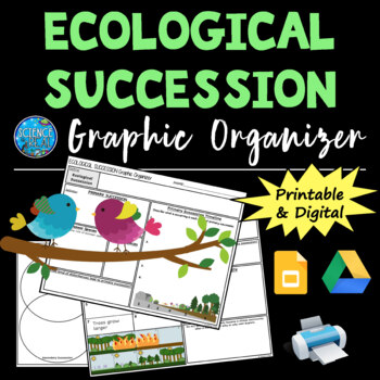 Preview of Ecological Succession Graphic Organizer