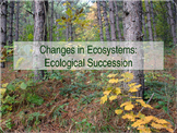 Ecological Succession PowerPoint