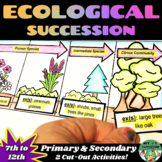 Ecological Succession:  Primary & Secondary - Two Cut Out 
