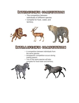 interspecific competition examples in animals