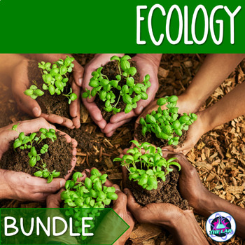 Preview of Ecology Activities Bundle