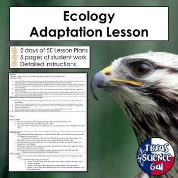 Preview of Ecology Adaptation Lesson