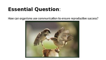 Ecology Animal Behavior PPT Lecture by Miss Vanessakay | TPT