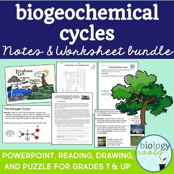 Ecology Worksheets: Biogeochemical Cycles Bundle by Biology Roots
