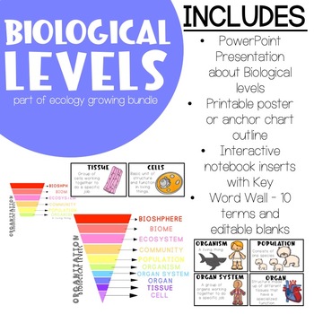 Preview of Ecology - Biological Levels