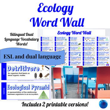 The Dual Trio: Vocabulary Everywhere!  Bilingual classroom decor,  Interactive word wall, Dual language spanish kindergartens