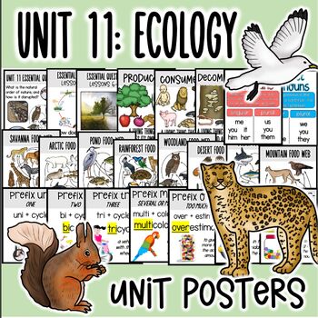 Preview of Ecology CKLA 3rd Grade Unit 11 Posters