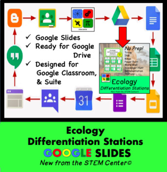 Preview of Ecology Differentiation Stations on Google Slides