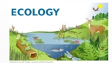 Ecology. Distance learning
