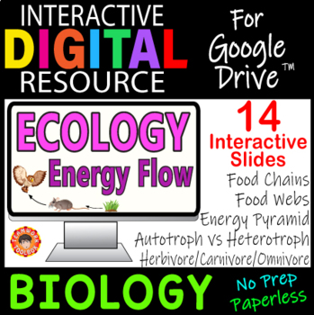 Preview of Ecology: Energy Flow ~Interactive Digital Resource for Google Drive~