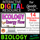 Ecology: Energy Flow ~Interactive Digital Resource for Goo