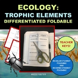 Ecology Energy Flow: Trophic Elements Differentiated Foldable