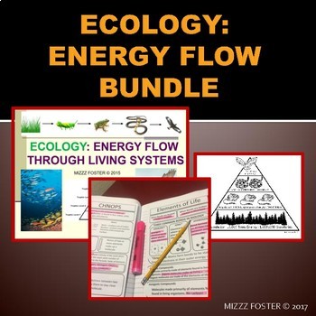 Preview of Ecology: Energy Flow, Trophic Levels, Food Chains & Web PowerPoint & Notes