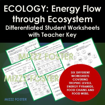 Preview of Ecology: Energy Flow, Trophic Levels, Food Chains & Web WORKSHEETS
