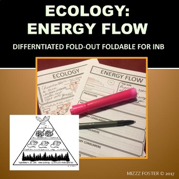 Preview of Ecology: Energy Flow, Trophic Levels, Food Chains and Food Web Foldable Notes