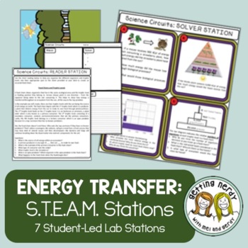 Preview of Ecology - Science Centers / Lab Stations - Food Chains Webs Energy Pyramid