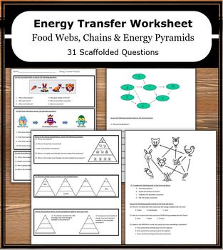 Ecology: Energy Transfer Worksheet | Food Chains, Food Webs & Energy ...