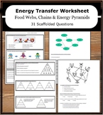 Ecology: Energy Transfer Worksheet | Food Chains, Food Web