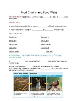 Ecology - Food Chains and Food Web notes by K I S S it Biology | TPT