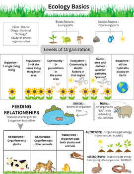 Preview of Ecology Graphic Notes / Reference Sheet