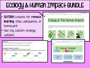 Preview of Ecology & Human Impact BUNDLE